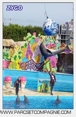 Marineland - Dauphins - Spectacle 17h00 - 5166