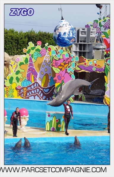 Marineland - Dauphins - Spectacle 17h00 - 5168