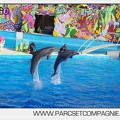 Marineland - Dauphins - Spectacle 17h00 - 5170