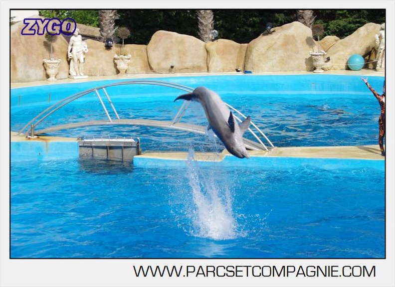 Marineland - Dauphins - Spectacle 17h00 - 5176