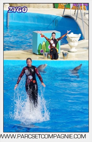 Marineland - Dauphins - Spectacle 17h00 - 5177
