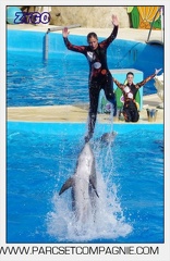 Marineland - Dauphins - Spectacle 17h00 - 5179
