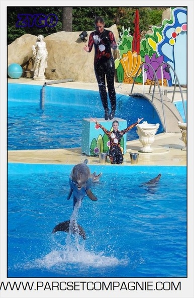Marineland - Dauphins - Spectacle 17h00 - 5180