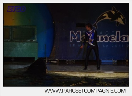 Marineland - Orques - Nocturne - 5269