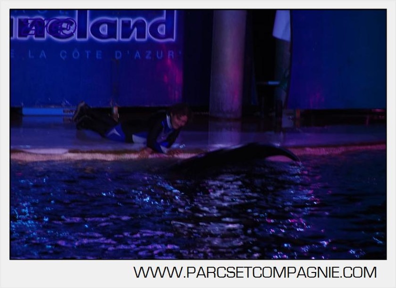 Marineland - Orques - Nocturne - 5274