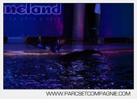 Marineland - Orques - Nocturne - 5274