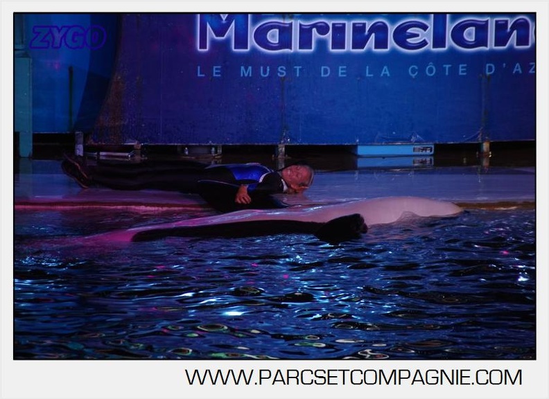 Marineland - Orques - Nocturne - 5280