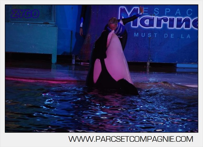 Marineland - Orques - Nocturne - 5281