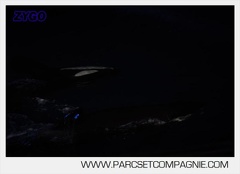 Marineland - Orques - Nocturne - 5286
