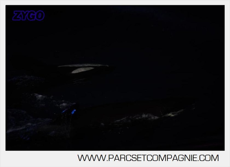 Marineland - Orques - Nocturne - 5286