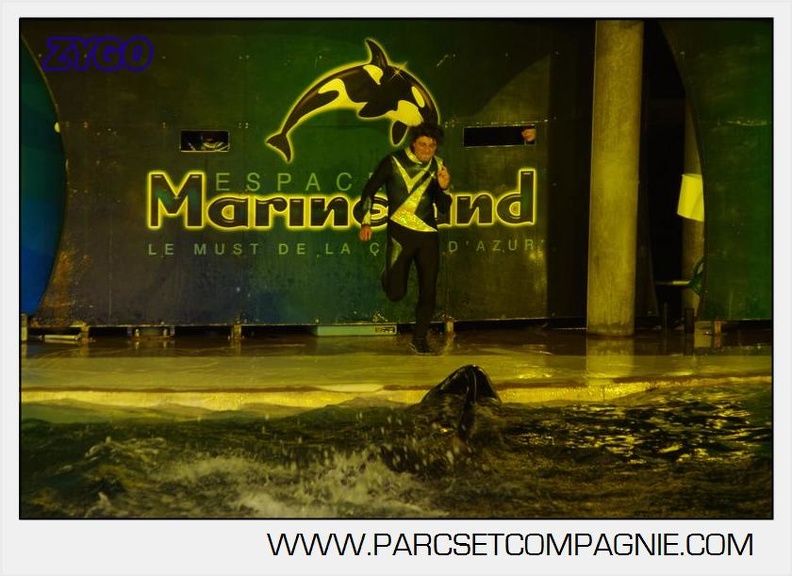 Marineland_-_Orques_-_Nocturne_-_5292.jpg