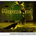 Marineland - Orques - Nocturne - 5295