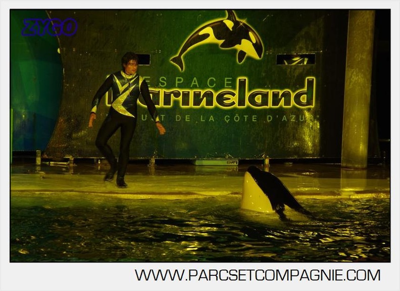 Marineland - Orques - Nocturne - 5298