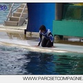 Marineland - Orques - Spectacle 18h15 - 5478