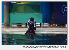Marineland - Orques - Spectacle 18h15 - 5479