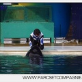Marineland - Orques - Spectacle 18h15 - 5479