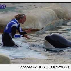 Marineland - Orques - Spectacle 18h15