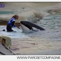 Marineland - Orques - Spectacle 18h15 - 5481