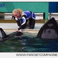 Marineland - Orques - Spectacle 18h15 - 5483
