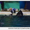Marineland - Orques - Spectacle 18h15 - 5484