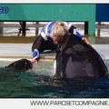 Marineland - Orques - Spectacle 18h15 - 5485