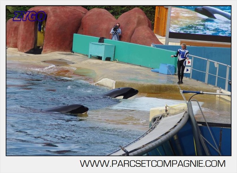 Marineland - Orques - Spectacle 18h15 - 5486