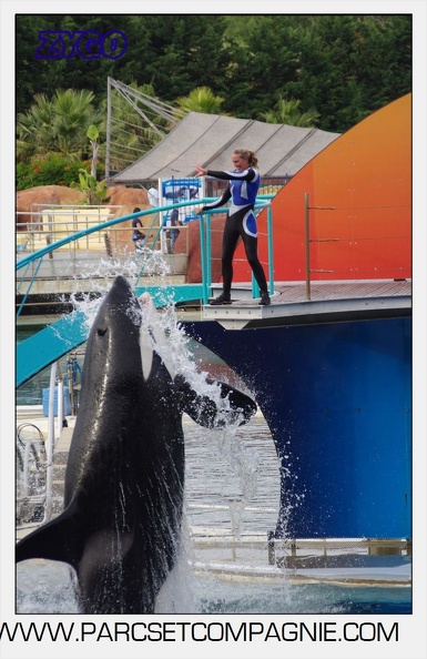 Marineland - Orques - Spectacle 18h15 - 5488