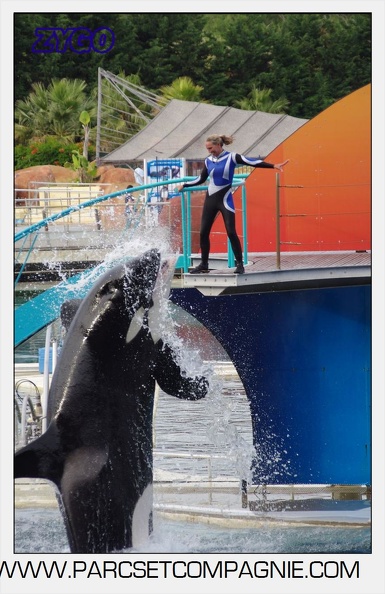 Marineland - Orques - Spectacle 18h15 - 5489