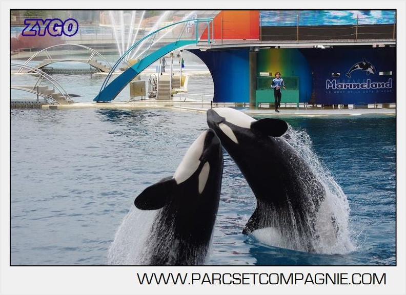 Marineland - Orques - Spectacle 18h15 - 5491