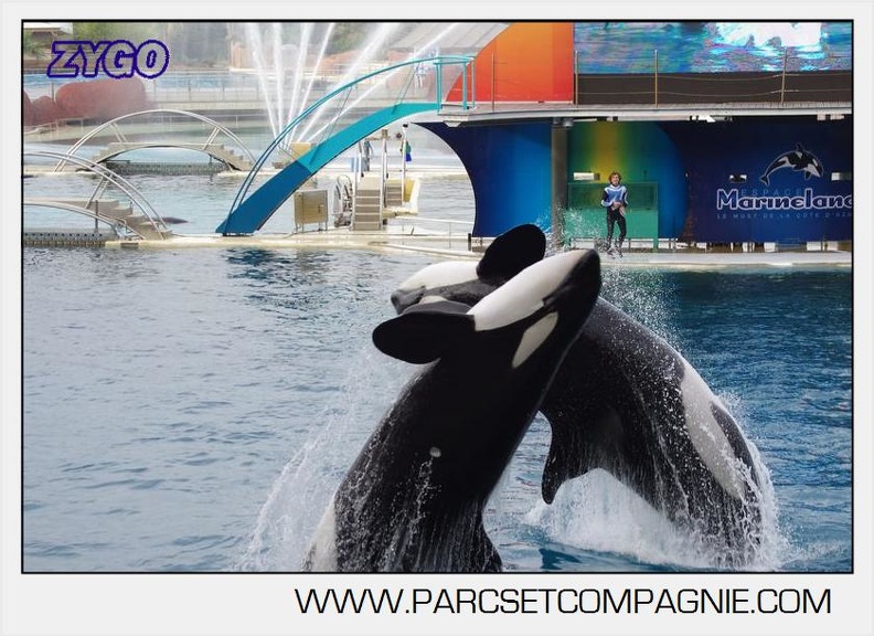 Marineland - Orques - Spectacle 18h15 - 5492