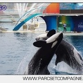 Marineland - Orques - Spectacle 18h15 - 5492