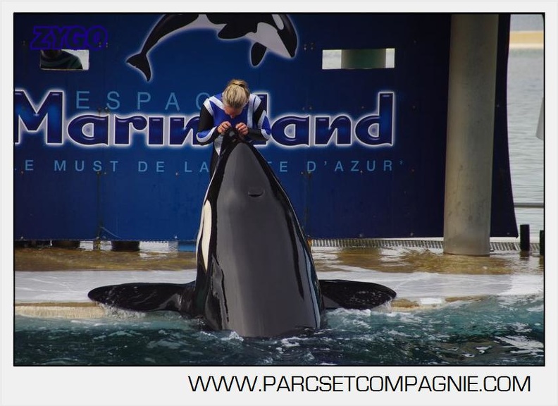 Marineland - Orques - Spectacle 18h15 - 5493