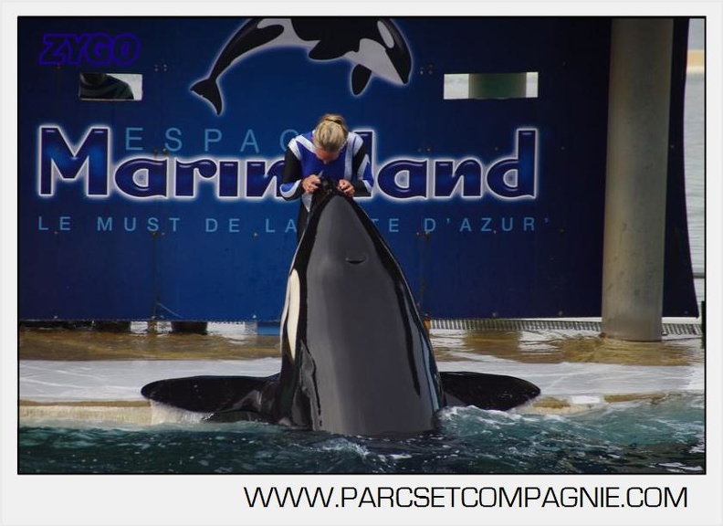 Marineland - Orques - Spectacle 18h15 - 5494