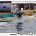 Marineland - Orques - Spectacle 18h15 - 5495