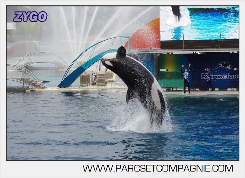 Marineland - Orques - Spectacle 18h15 - 5496