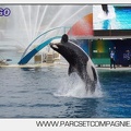 Marineland - Orques - Spectacle 18h15 - 5496