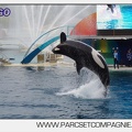 Marineland - Orques - Spectacle 18h15 - 5497