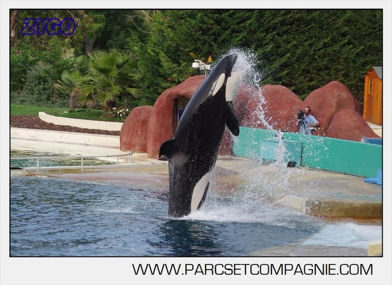 Marineland - Orques - Spectacle 18h15 - 5498