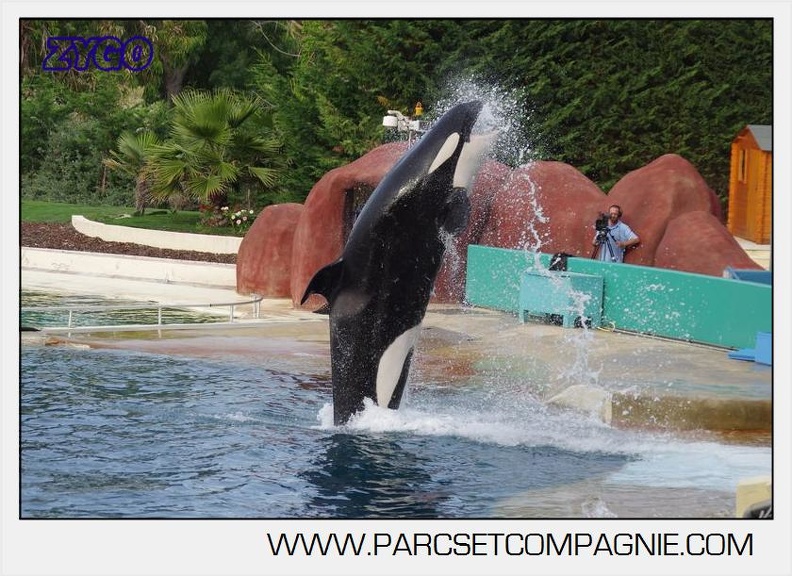 Marineland - Orques - Spectacle 18h15 - 5499