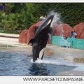 Marineland - Orques - Spectacle 18h15 - 5499