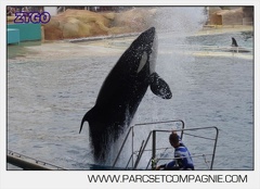 Marineland - Orques - Spectacle 18h15 - 5500