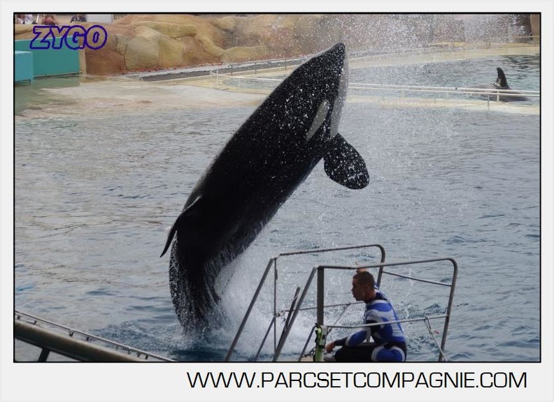 Marineland - Orques - Spectacle 18h15 - 5501