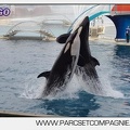 Marineland - Orques - Spectacle 18h15 - 5502