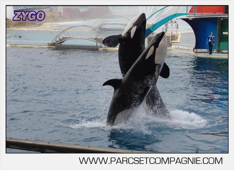Marineland - Orques - Spectacle 18h15 - 5503
