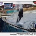 Marineland - Orques - Spectacle 18h15 - 5504