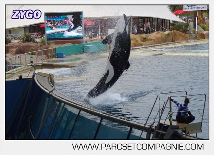 Marineland - Orques - Spectacle 18h15 - 5505