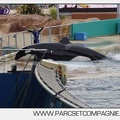 Marineland - Orques - Spectacle 18h15 - 5506