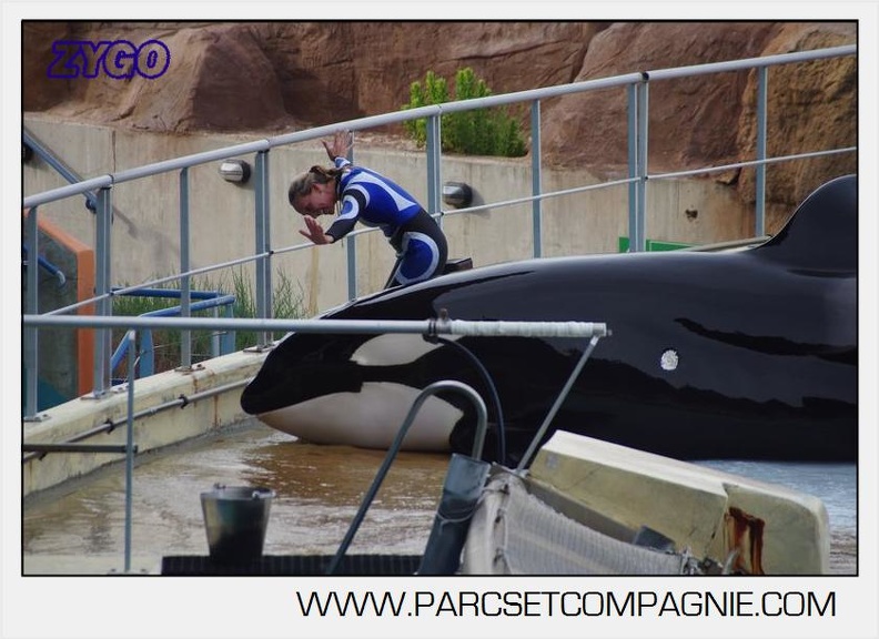 Marineland - Orques - Spectacle 18h15 - 5507