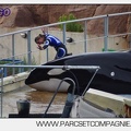 Marineland - Orques - Spectacle 18h15 - 5507