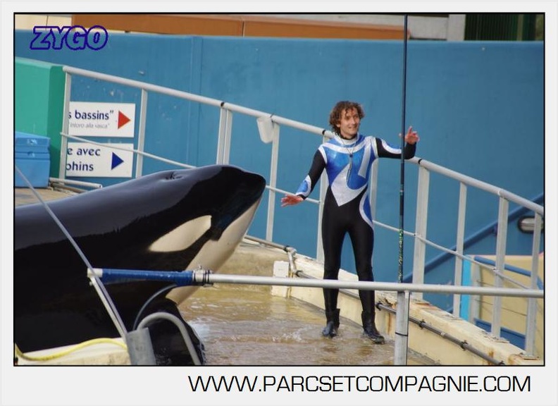 Marineland - Orques - Spectacle 18h15 - 5508